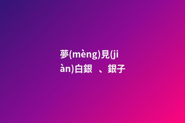 夢(mèng)見(jiàn)白銀、銀子